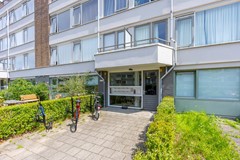 F06 0707STM Auriollaan92.jpg